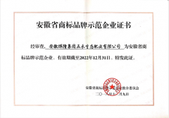 安徽省商標(biāo)品牌示范企業(yè)